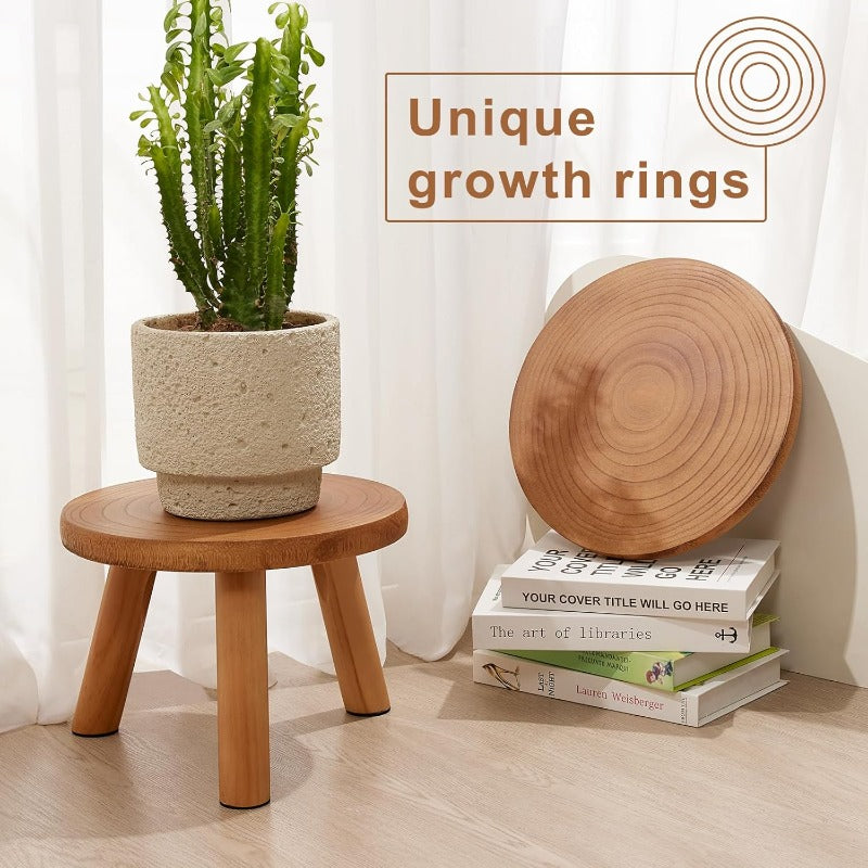 Yaga 2 Pack Large \u002FOutdoor Wood Plant Stand with Growth Ring Display - Heavy-Duty Paulownia Wood Rustic Mid-Century Modern Tree Stool for 11-12\